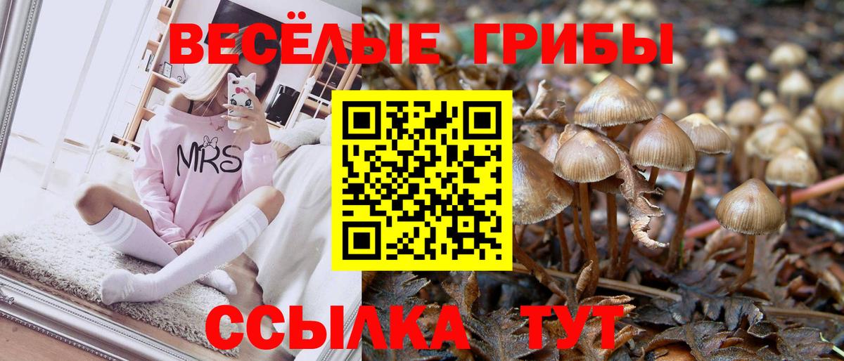 Галлюциногенные грибы мицелий Шахты